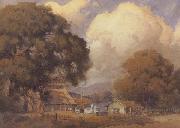 unknow artist Sunlit Farm oil painting artist